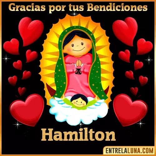 Imagen de la Virgen de Guadalupe con nombre Hamilton