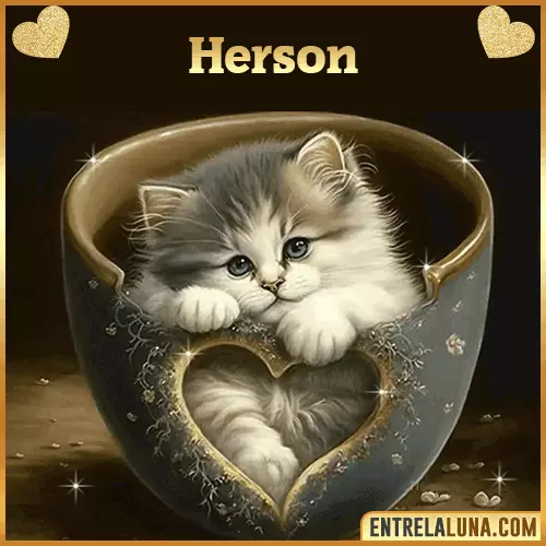 Imagen de tierno gato con nombre Herson
