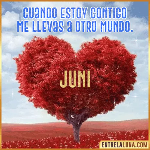Frases de Amor cuando estoy contigo Juni