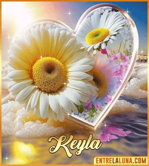 Imagen de corazón y margarita con Nombre Keyla