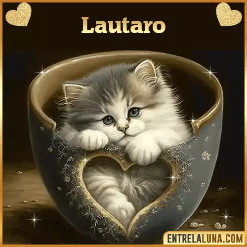 Imagen de tierno gato con nombre Lautaro
