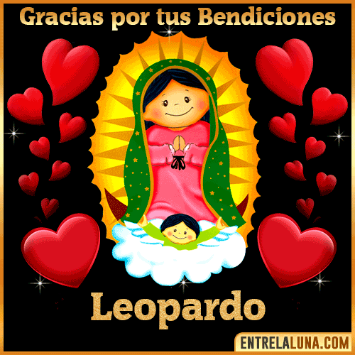 Imagen de la Virgen de Guadalupe con nombre Leopardo