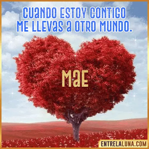 Frases de Amor cuando estoy contigo Mae