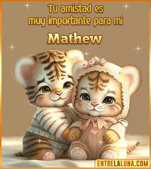 Tu amistad es muy importante para mi Mathew