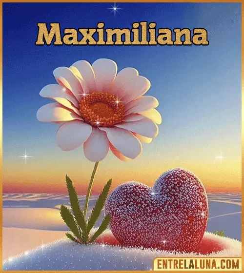 Imagen bonita de flor con Nombre Maximiliana