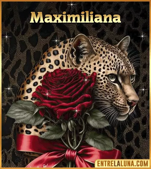 Imagen de tigre y rosa roja con nombre Maximiliana