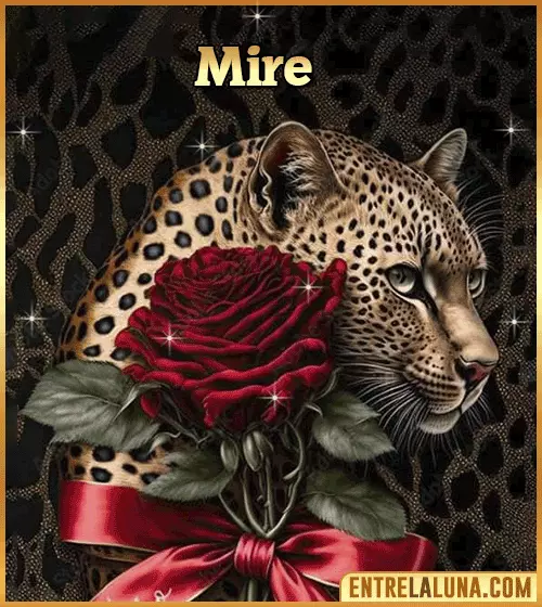Imagen de tigre y rosa roja con nombre Mire