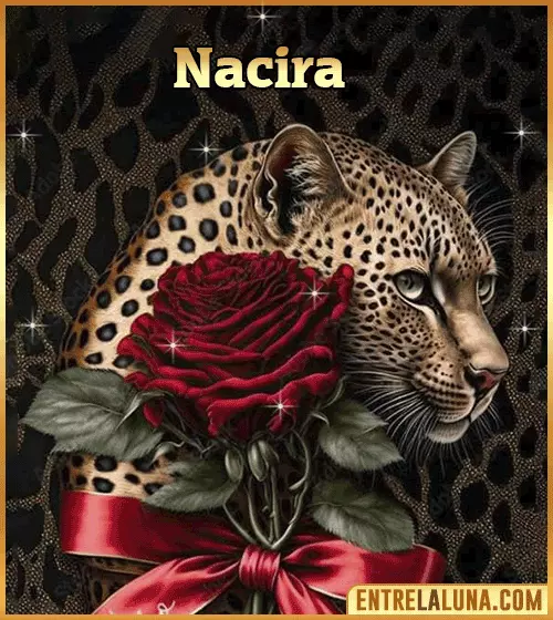 Imagen de tigre y rosa roja con nombre Nacira