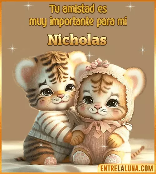 Tu amistad es muy importante para mi Nicholas