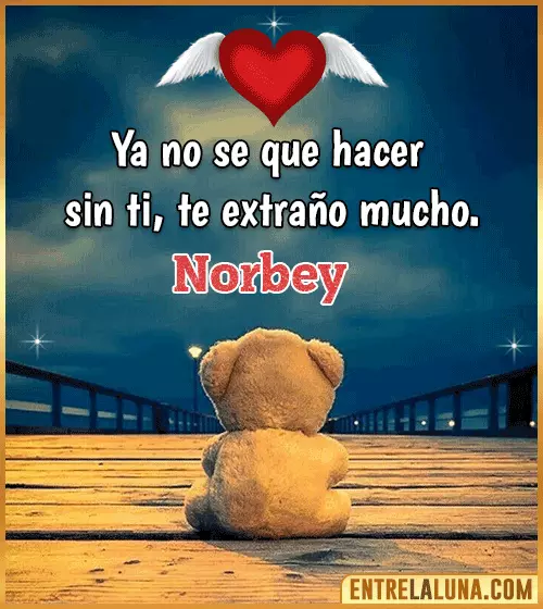 Te extraño mucho Norbey