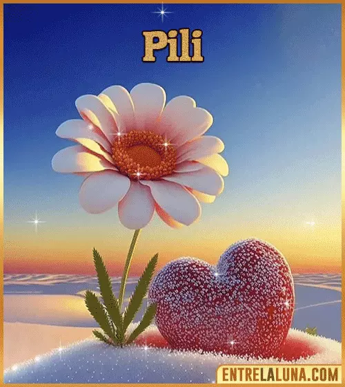 Imagen bonita de flor con Nombre Pili