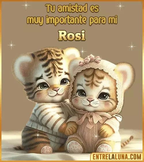 Tu amistad es muy importante para mi Rosi