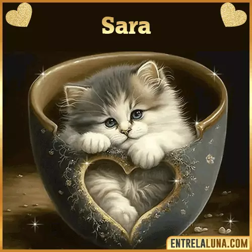 Imagen de tierno gato con nombre Sara