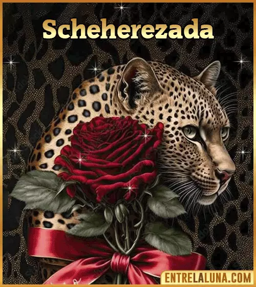 Imagen de tigre y rosa roja con nombre Scheherezada