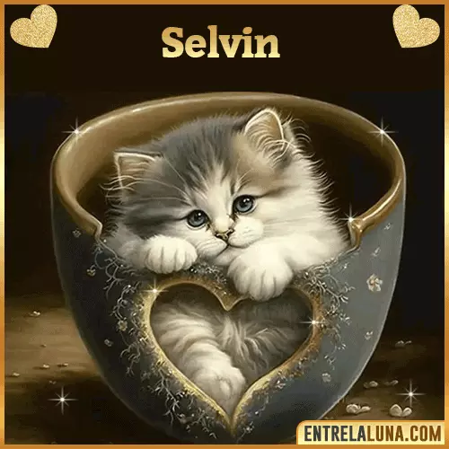 Imagen de tierno gato con nombre Selvin