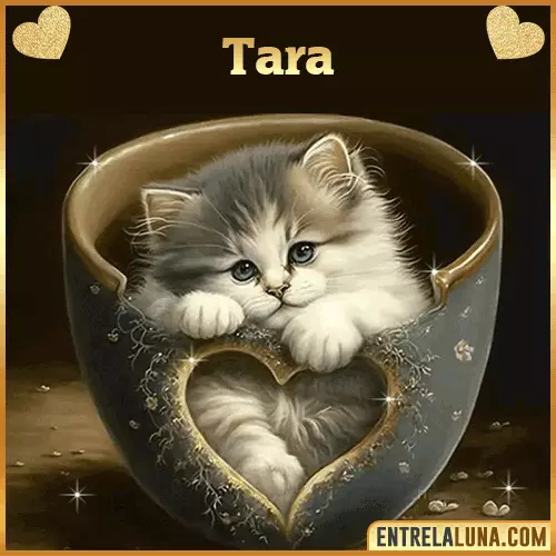 Imagen de tierno gato con nombre Tara