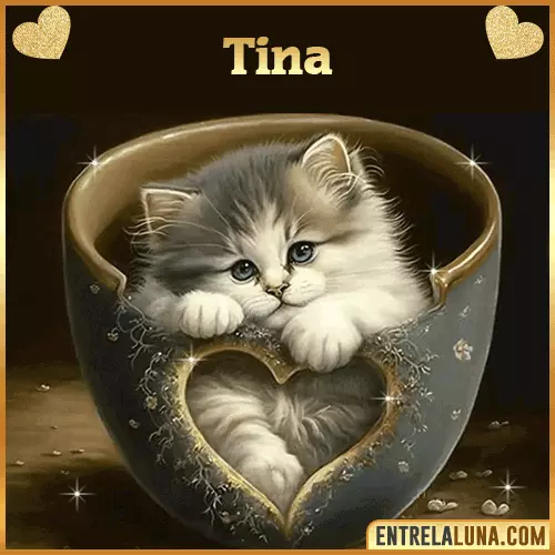Imagen de tierno gato con nombre Tina