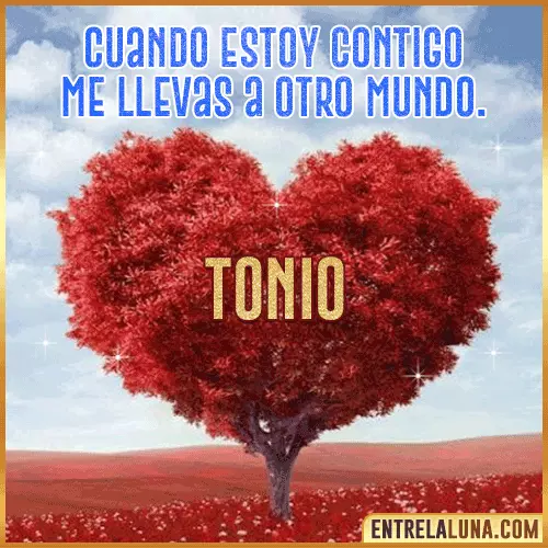 Frases de Amor cuando estoy contigo Tonio