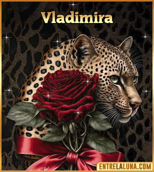 Imagen de tigre y rosa roja con nombre Vladimira