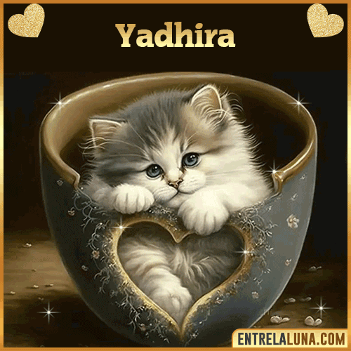 Imagen de tierno gato con nombre Yadhira