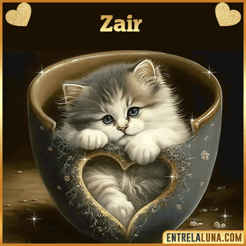 Imagen de tierno gato con nombre Zair